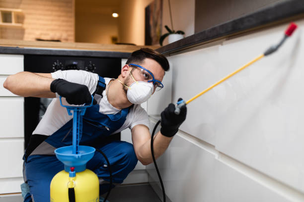 Best Wasp Removal Services  in Oxford, MI