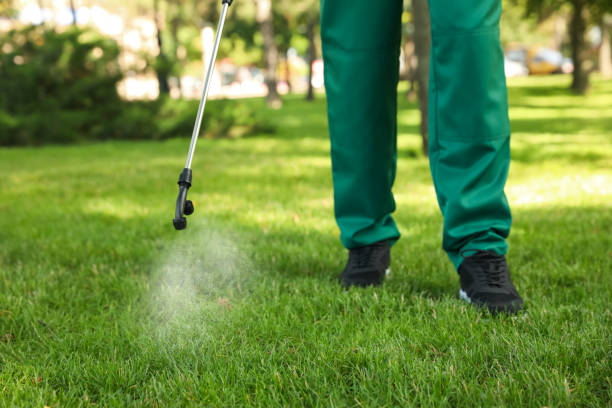 Best Affordable Pest Control Services  in Oxford, MI