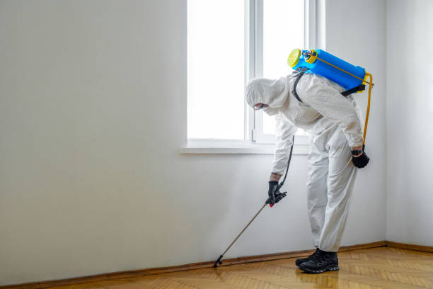 Best Flea Control Services  in Oxford, MI