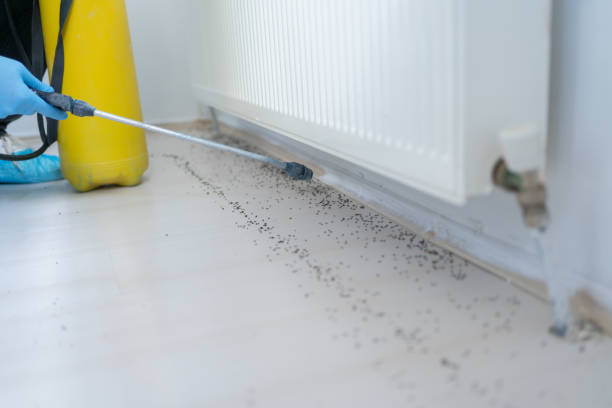 Best Affordable Pest Control Services  in Oxford, MI