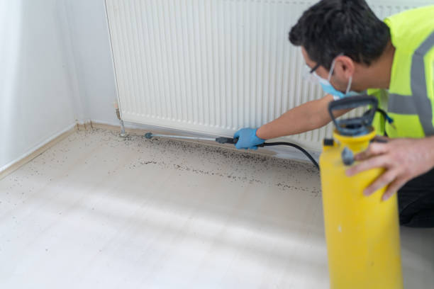 Best Commercial Pest Control Services  in Oxford, MI