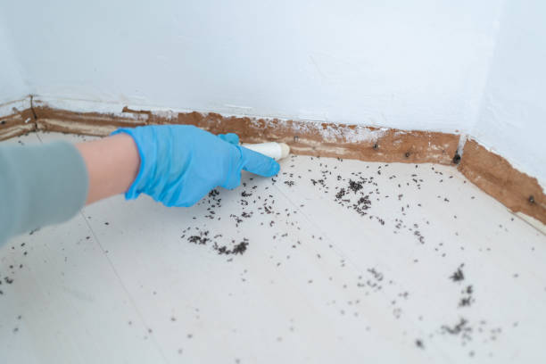 Best Emergency Pest Control  in Oxford, MI
