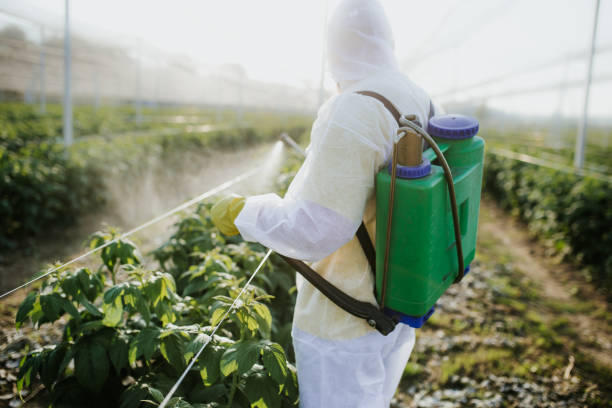 Best Bed Bug Extermination  in Oxford, MI